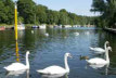 Situated on the shore of Lough Neagh, the <b>Lough Shore Park</b> at Antrim is a popular destination for visitors and residents at all times of the year. It is an area steeped in history and natural beauty with many attractions and activities to enjoy.